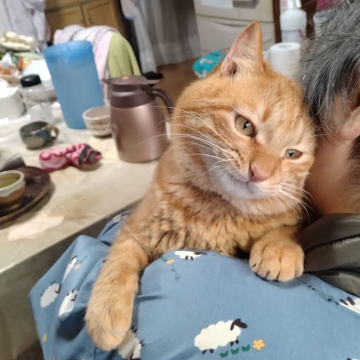 3283b1f9 08c8 4920 b50d 7c848ba8ed1e 1706840392164