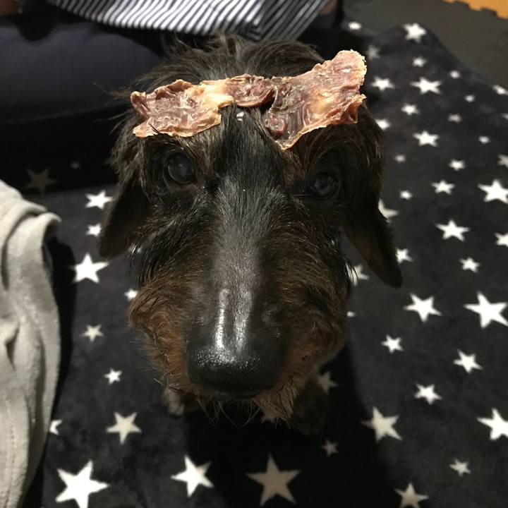 3283b4d8 2328 4241 8c15 25bedef60653 1541945923831