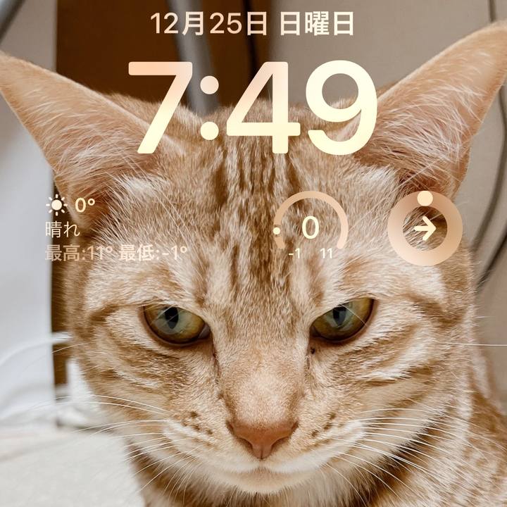 3283d667 e560 43eb a056 cf1bfe3c8390 1671922262210