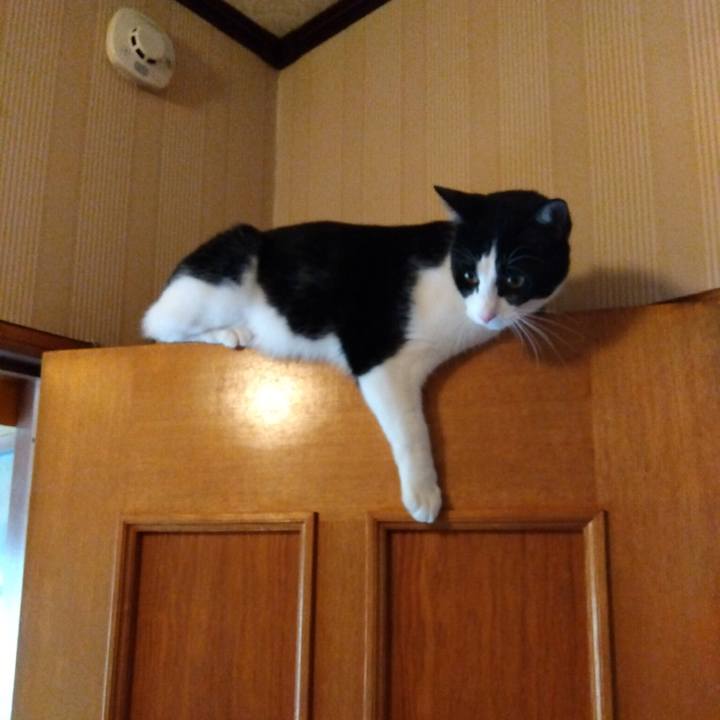 3283d73e e0b8 4e3f b7f3 aac61d044454 1654380688149