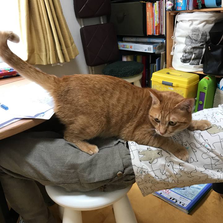 3283e187 6e4b 406c 9c85 4c377fc099e0 1541659205990