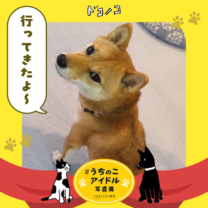 3284083f 9ef0 45cb 9bb9 eecbabd36971 1761864451795