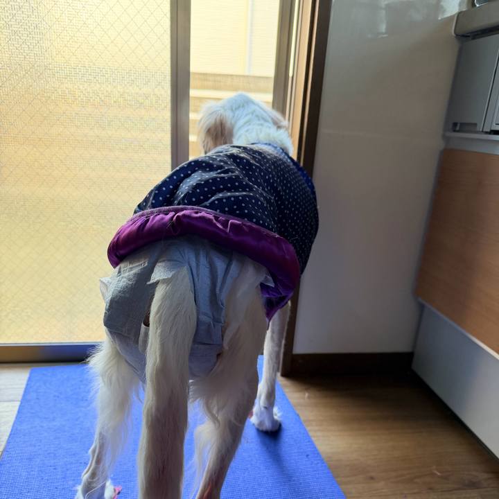 32840ba2 f157 46a5 9fbc 9018a87e7f44 1764377132544