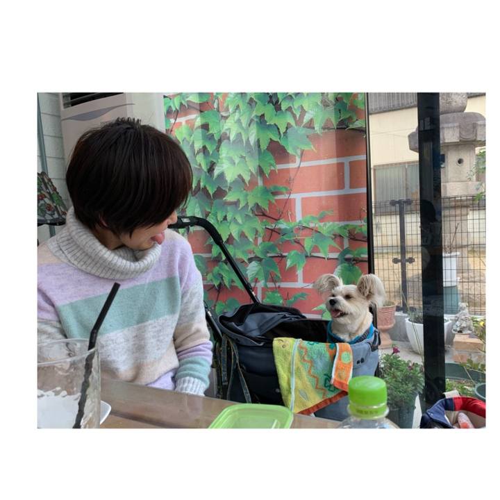 32844403 f540 424f 845b d4cba1fecbc7 1579351344308