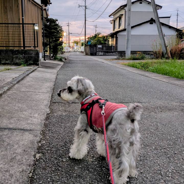 32844bf9 f9c4 4078 b11b c3ee9d20b9c0 1761309360291