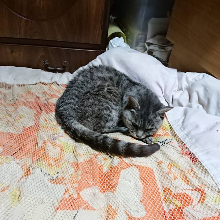 32845a58 8285 4f0f 9b15 24360e64166a 1572869780792