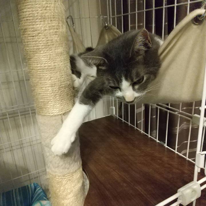 3284738a d787 4859 a3b8 f737dce5e84e 1601553682868