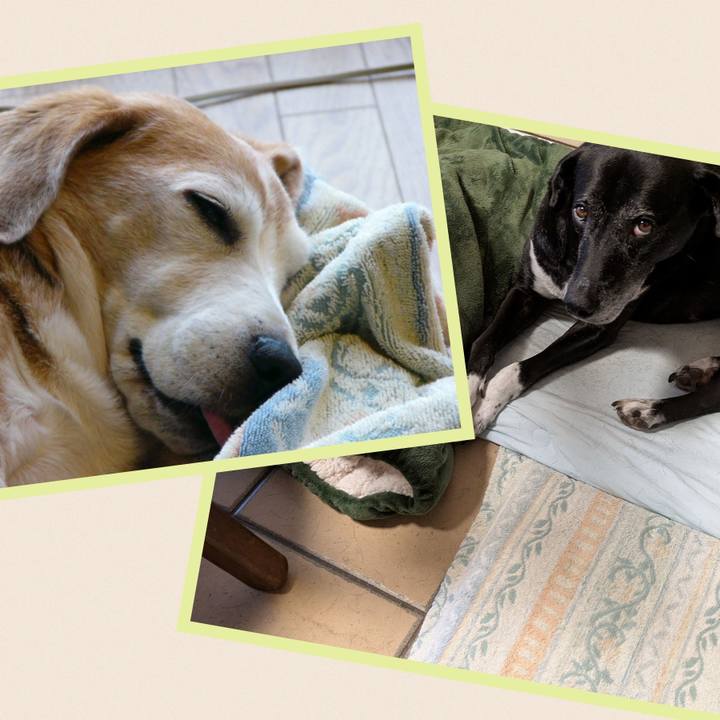 328485a0 ff1e 495e b635 1e2595f1eb33 1758933872903