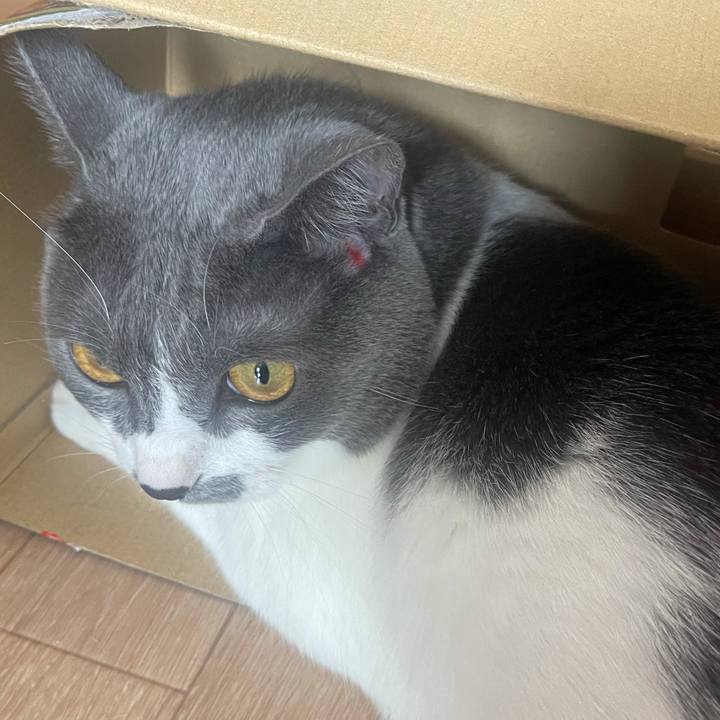 32848697 0148 45bd 8568 b0a5be24d26b 1634346265057