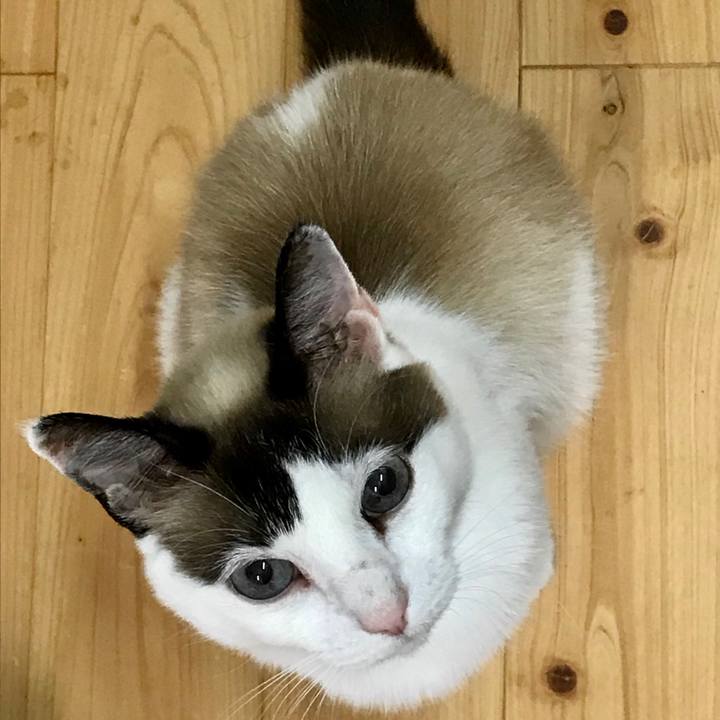 3284bd51 514c 475f 81db 5f3eddd4df2a 1591620134382