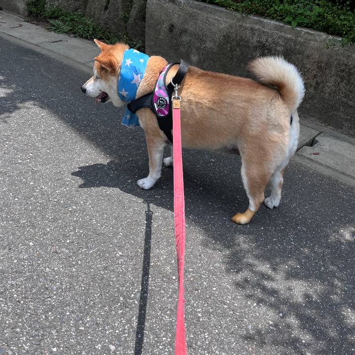 32853d3d 6a5f 4849 a115 8d616af0b299 1719974620485