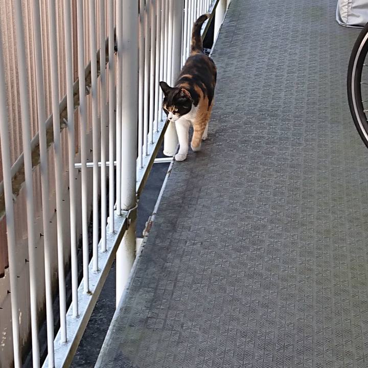 328540be 4da3 4c69 93b2 3b641d5df1a1 1614472795094