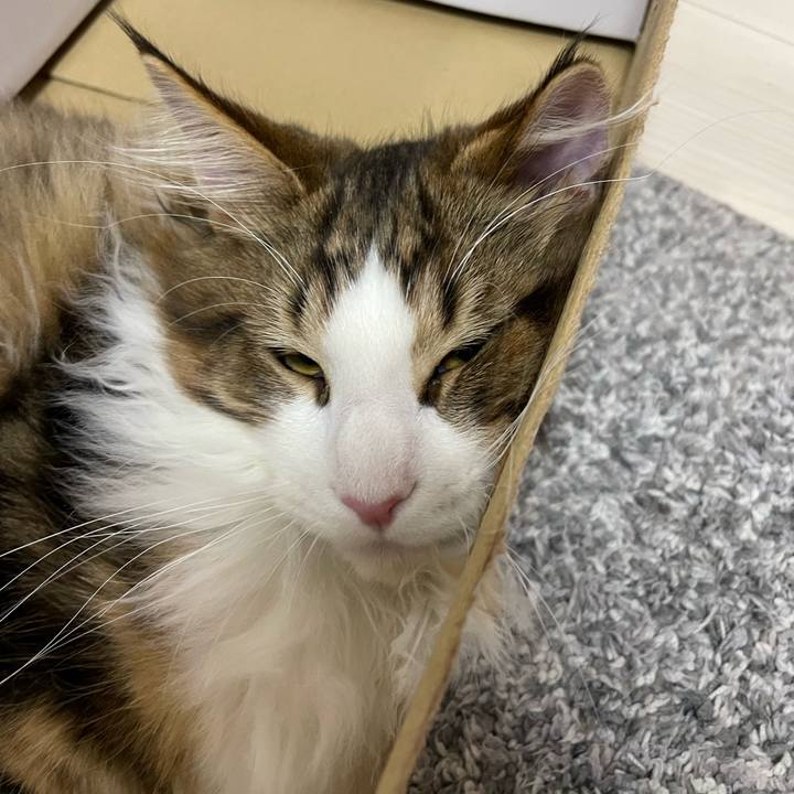 32854d79 b98d 474b 8af4 7001dfe668bc 1638794087302