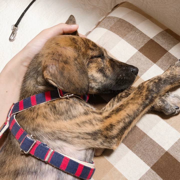 32863cce dbd3 4373 bf69 bab50e43e6b7 1567692114977