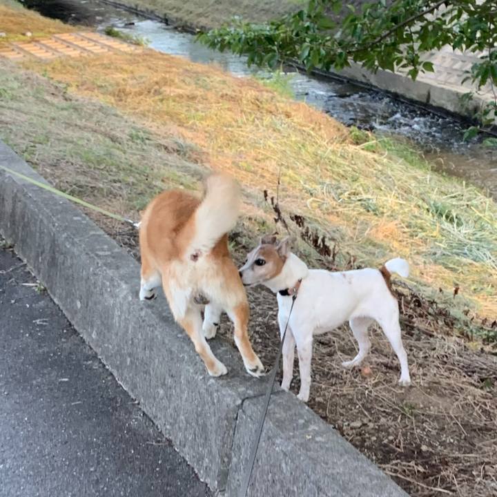 328666ab 3a80 4241 a815 a8bd0b07d5bb 1626947929839