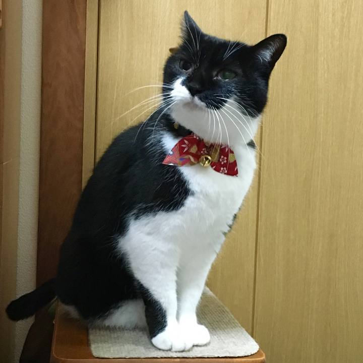 32867756 0494 403b b8cb 57b6c9221ca2 1578054545393