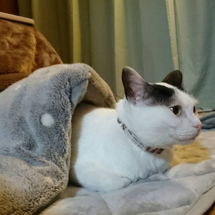 328687ab e1da 4056 b64b 10f6d6bbc739 1510570620625