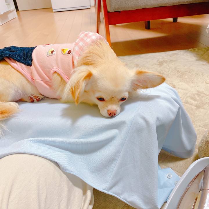 32868d2c 1c11 44df 92fa 72eceae65863 1637584750739