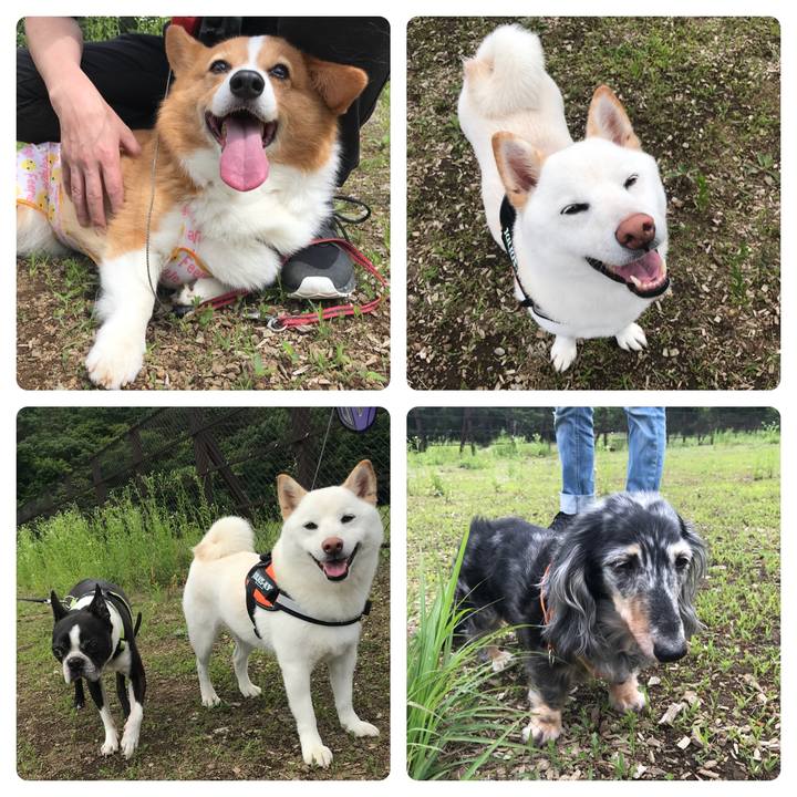 32869c9f 54e1 4b2b 9e23 e4315d533ee1 1529201865282