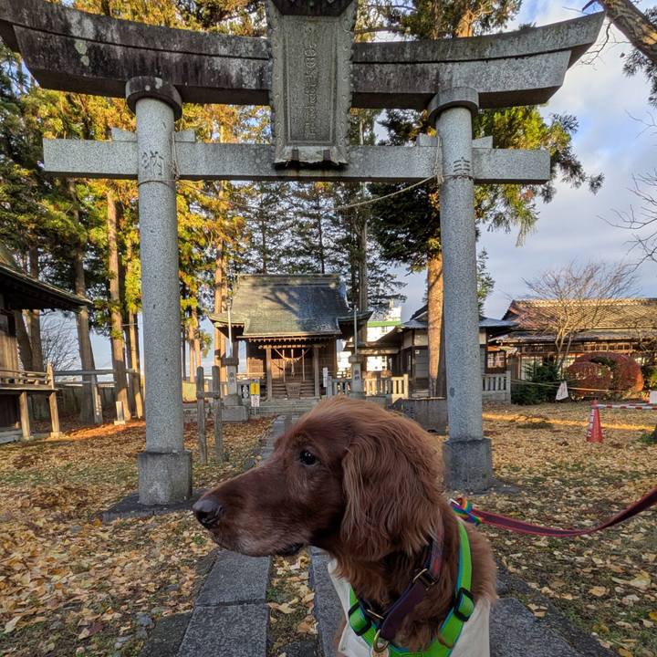 32869edb a90e 41fb b7bd 866e05ef8a32 1764461171184