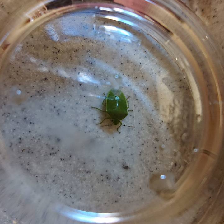 3286c954 8f60 4ed8 956f 548e2f305dc4 1573655006075