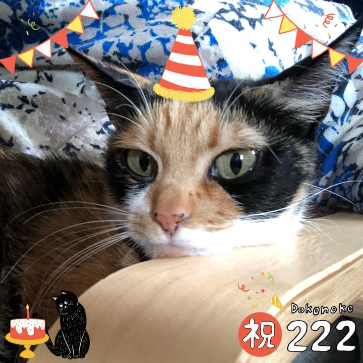 3286d7f5 3ae6 4055 86b1 2b0eefefb3c4 1645502231166