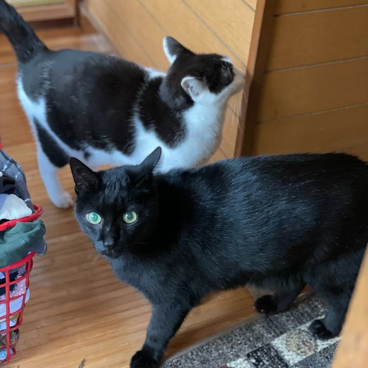 3286ead3 0310 4da9 9b8b 2390ec6ff515 1638151051657