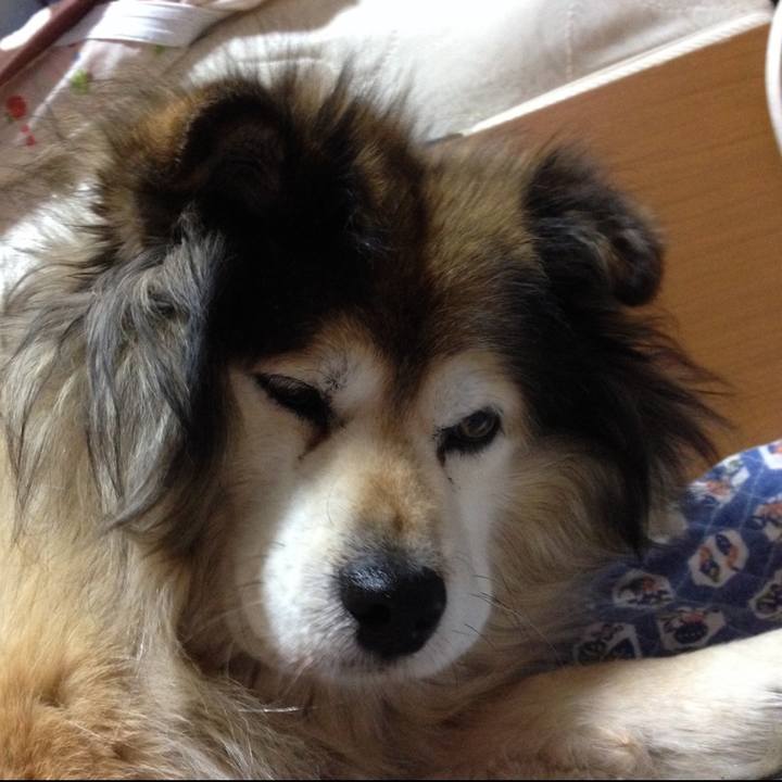 3287079b 2a47 4f8e 8d31 bda46dbd77c7 1568418207950