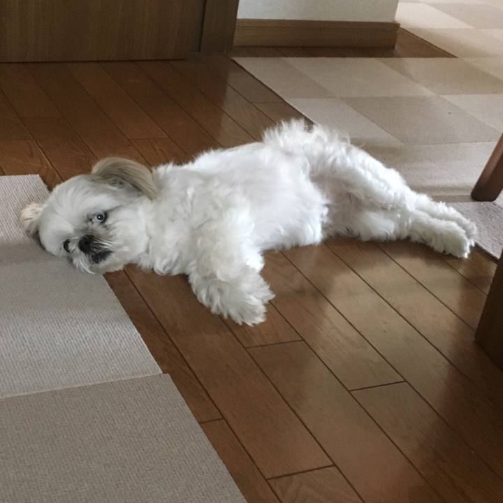 32870916 8575 4126 8e12 94a1c1f02869 1531441238274