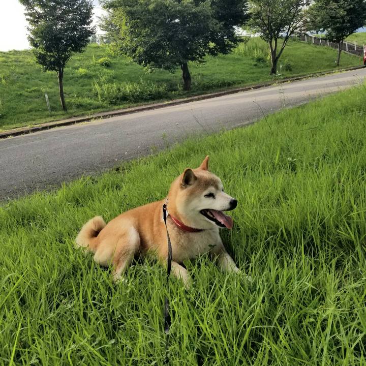 328711f2 d9c9 4c92 9a56 4b7ecf0bc452 1721981127038