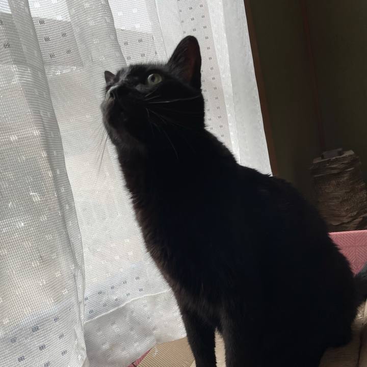 32872fff 6a29 458a a840 0621823a1793 1624241262291