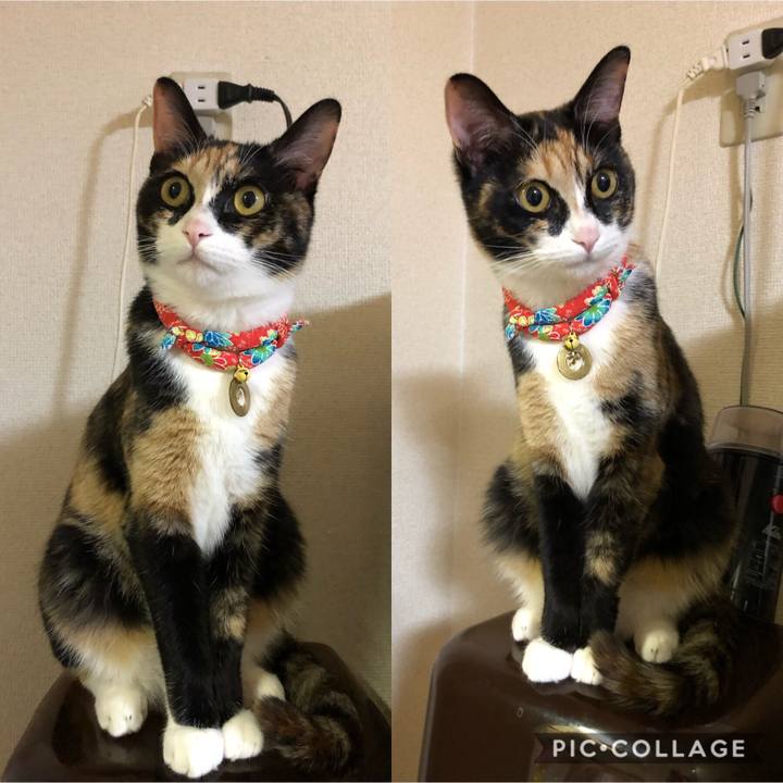 32873b5f 72d4 4d7d bb27 a842a5f9d798 1559572525688