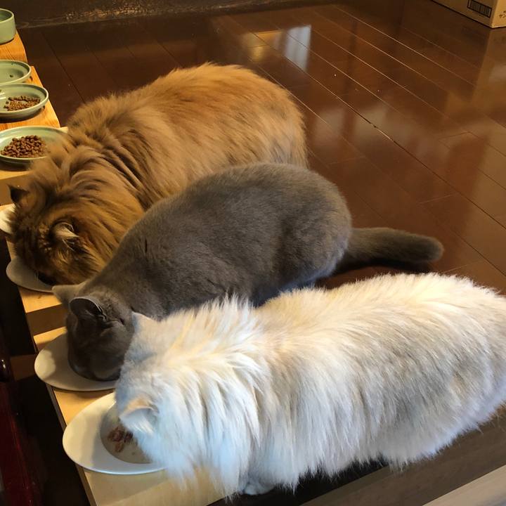 3287456c e004 478c 9b8a 48050021ebf5 1577144435298