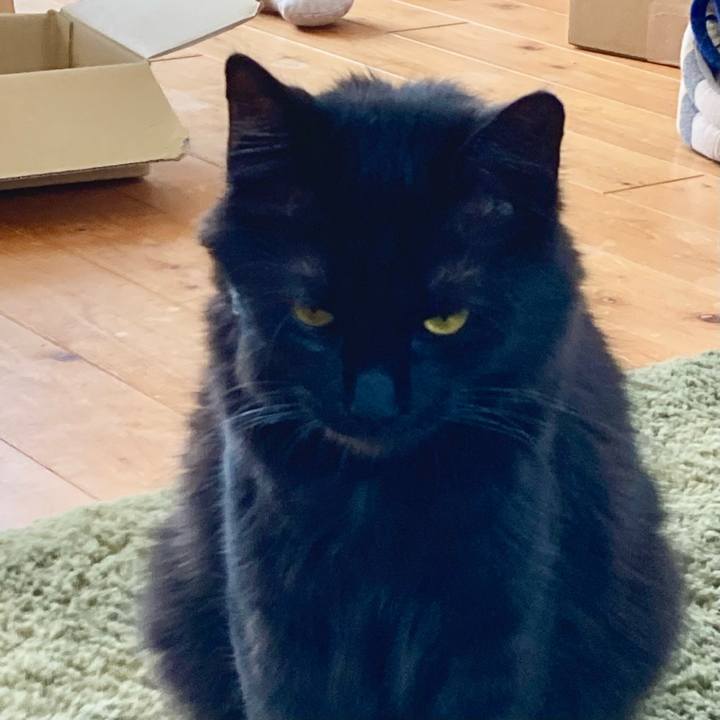 328746fc f262 40d1 99b1 7c016d093131 1715667695761