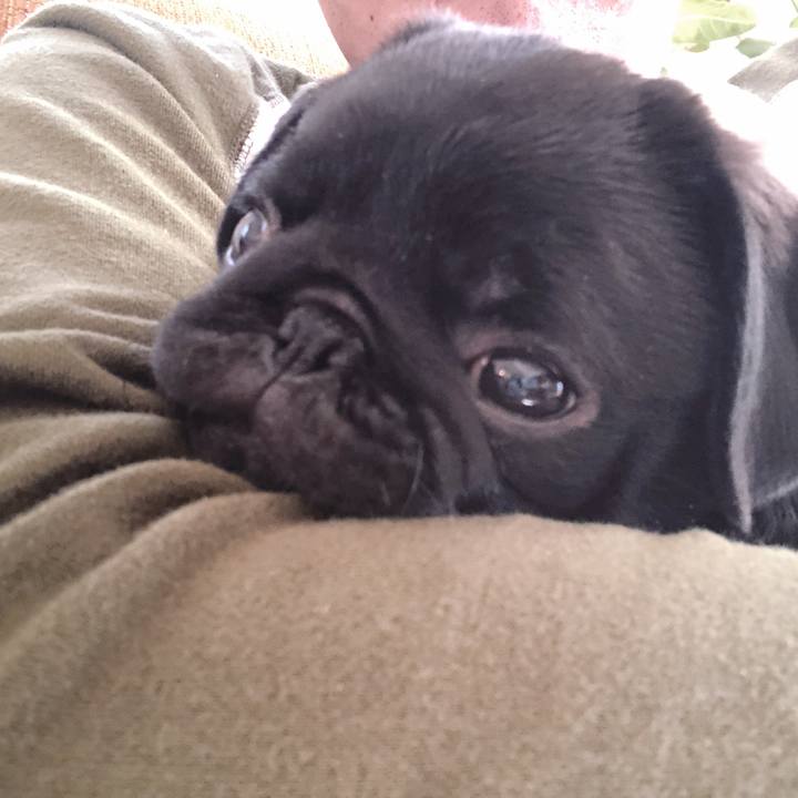 3287a166 95e7 48b3 b20d 5a6787180adc 1587773125154