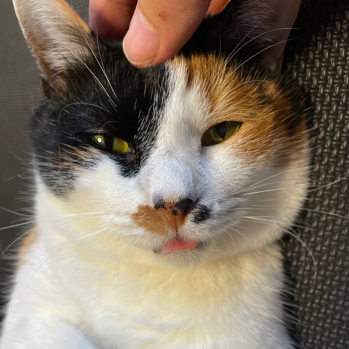 3287bdbf dfd4 4aef 8fdd baea667e76d0 1624114399913