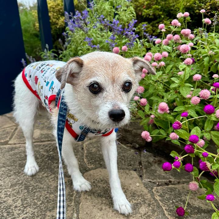 3287d6d9 7641 439a 8cdc 9324724e7818 1726703108364