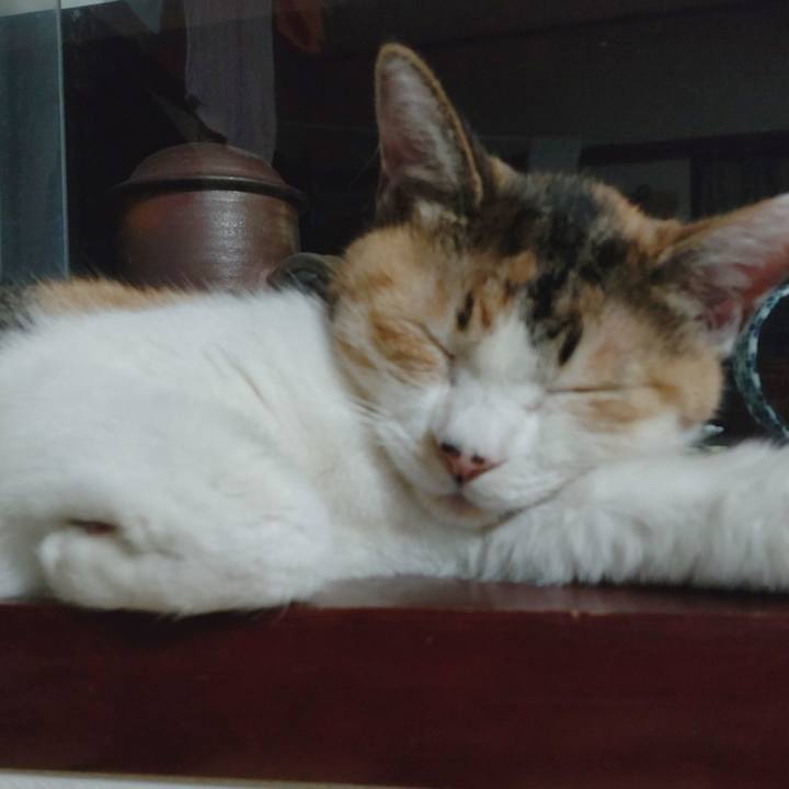 3287e3b3 480f 4683 9616 abfebc11f256 1641037058528