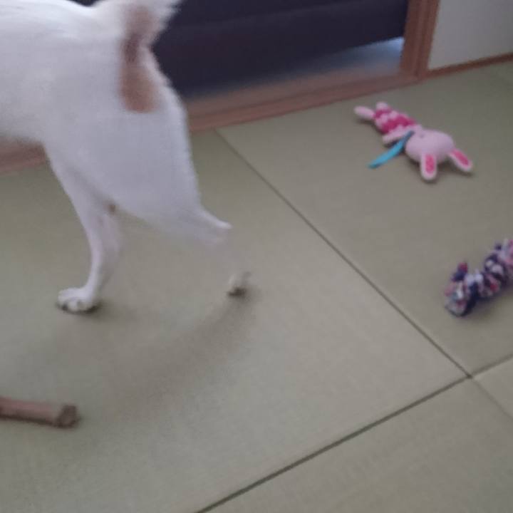 3287eee5 c2e6 43aa 8fd1 276c86ee4608 1517826341204