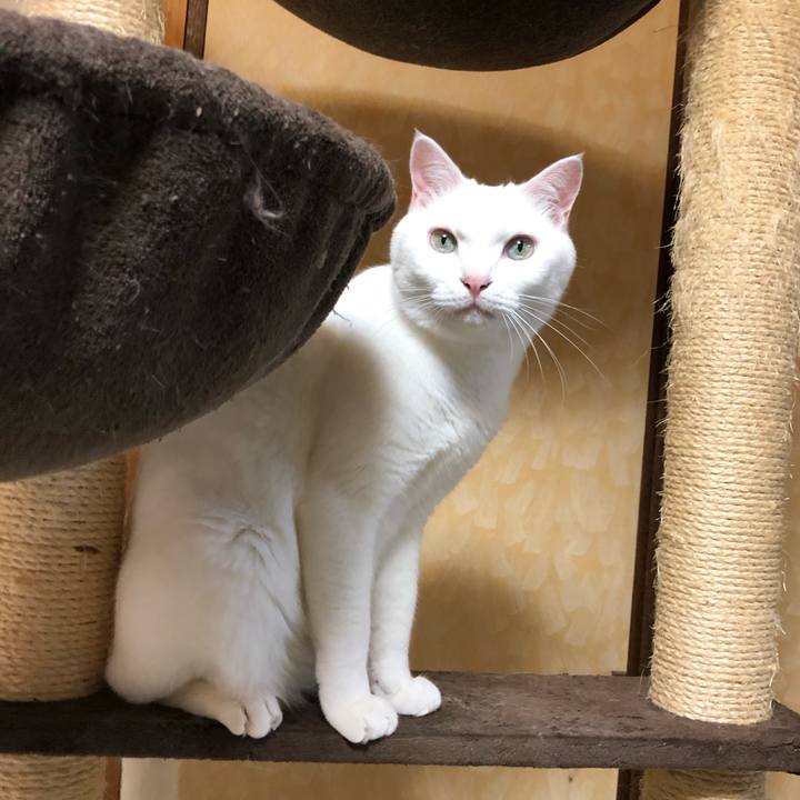 32882b19 69dd 46e4 bab4 7cfbd7e19782 1595936249974