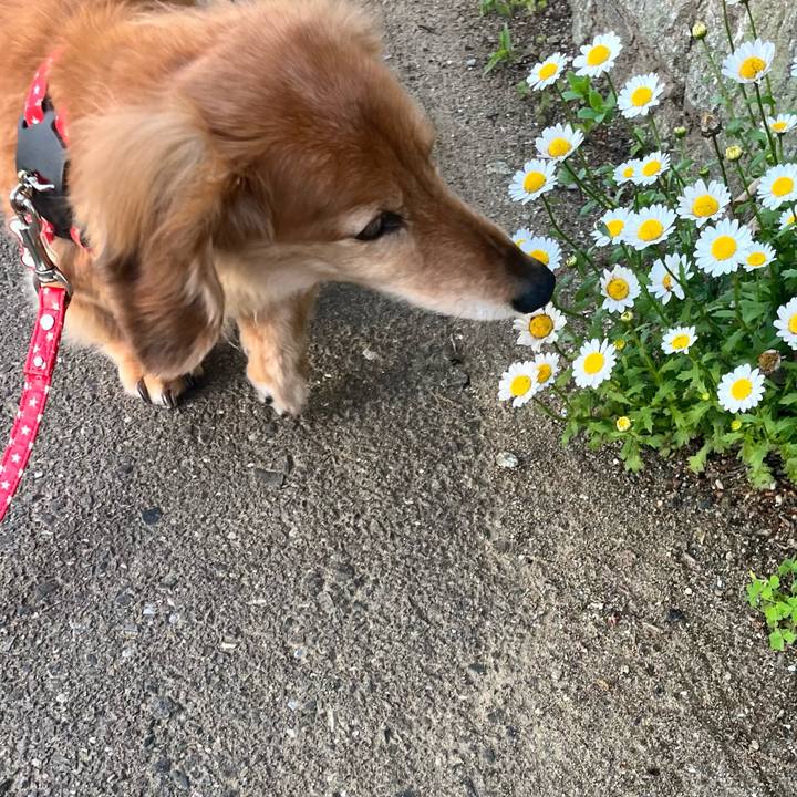 32888242 1830 4615 b454 a953d15dfe65 1653401885592