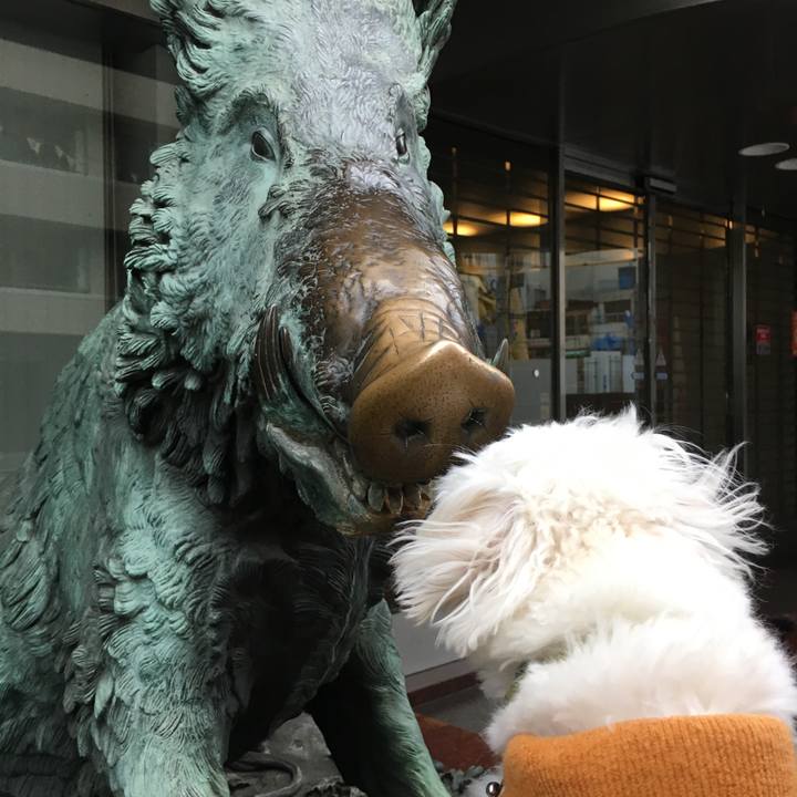 3288f5fd bc94 4958 84d5 a920f53303c1 1546142660411