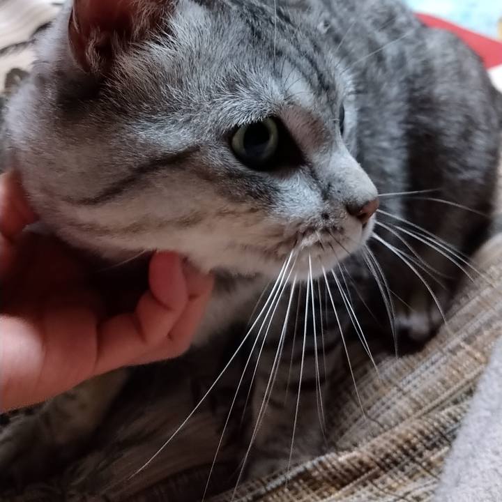 328910bd d162 43ed a79b 4b6a3a1dd2b0 1584372495554