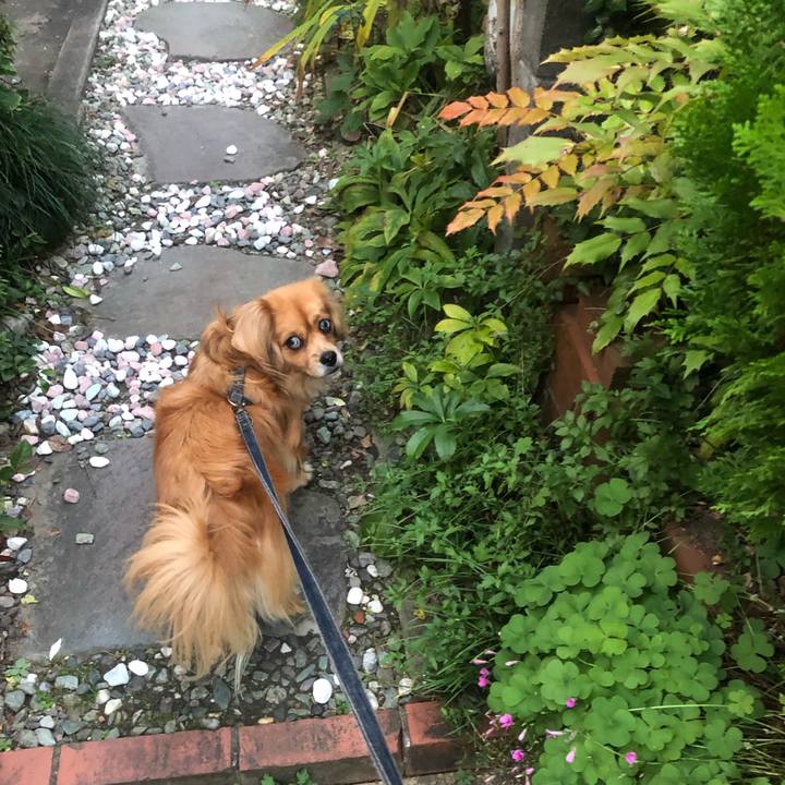 32891e90 8ff4 4e05 9420 b6f76d1b13ea 1542751762976