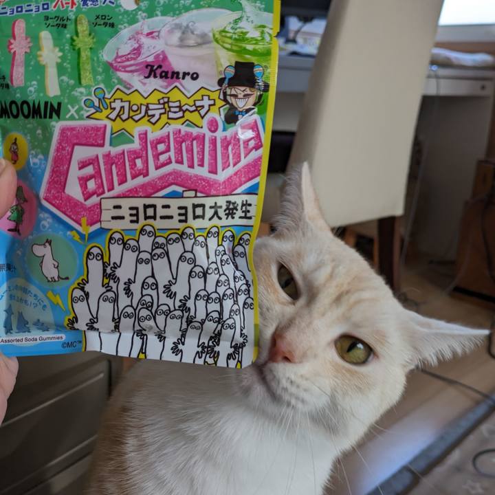 32893acb 5843 46b1 a800 af561c926c32 1700284476914