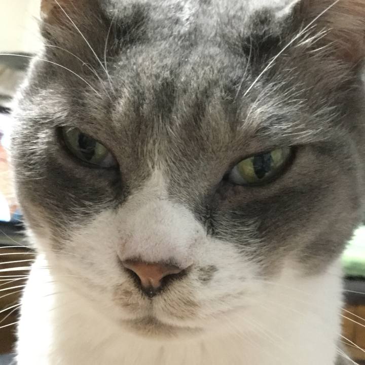 32893f18 6900 41a7 9d9e a657063f5baa 1589002095563