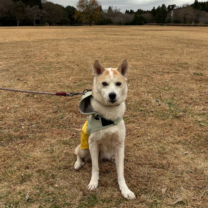 3289493a 1bbe 4545 9d22 18c25f6e5719 1766145828616