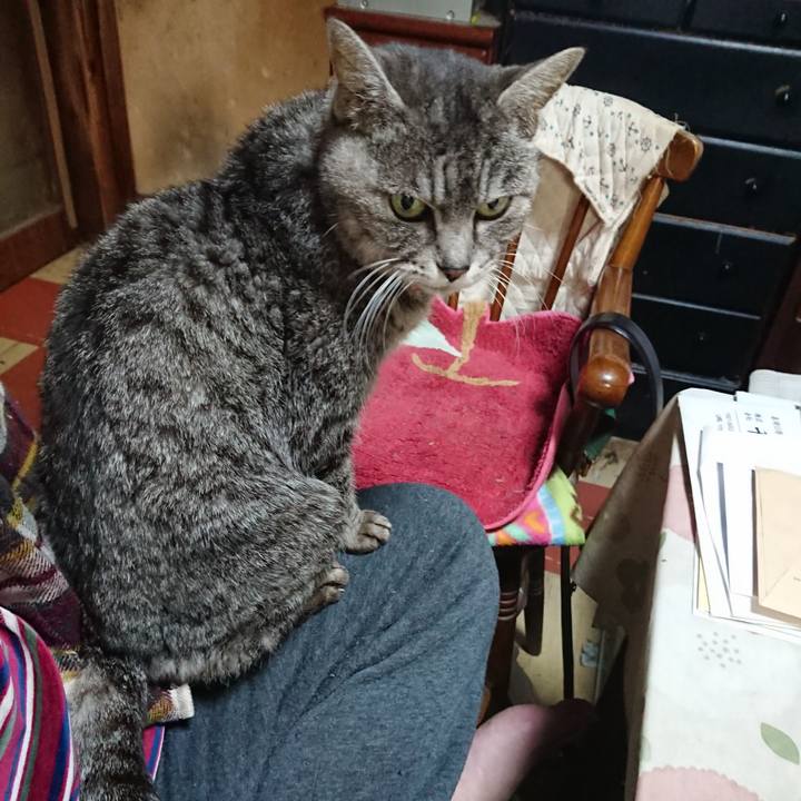 32895f69 210c 4d3a b061 13b9631a843c 1581678146658