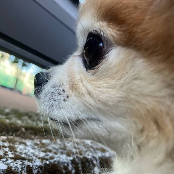 32899e86 1789 43ef 9a66 28e9b38bc318 1771494328394