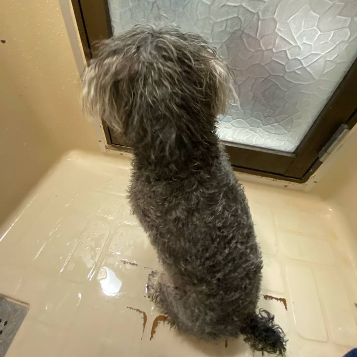 3289ba98 cbaf 473b 9999 5de392f263ca 1602311880059